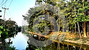 Botany,Â Beauty in nature, Forest, Freshness, Lake, Photo grapy, Public park, Sky, Sunlight, Tranquility, Travel, Shiny, Plant,